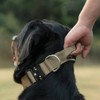 TSPRO Premium Dog Collar with Handle and Heavy Duty Quick