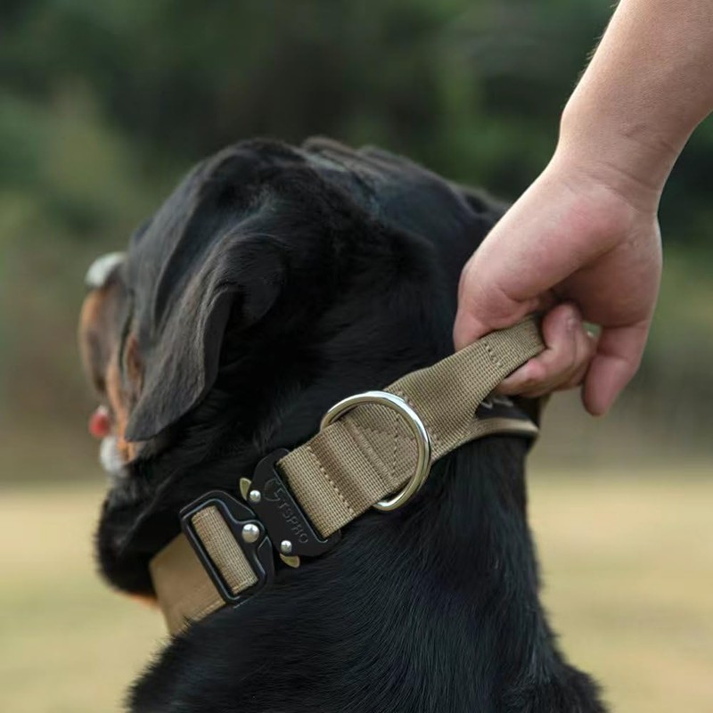 TSPRO Premium Dog Collar with Handle and Heavy Duty Quick
