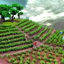 Woohome 280 PCS Static Grass Tuft Tea Model Grass Tufts 2 Color Artificial Grass Fake Moss Grass for Train Landscape Railway Artificial Grass Modeling