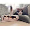 Nippon Seal Pakupaku Roller Sora Maker Direct Sales Kyosuke Sora