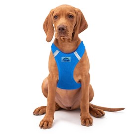 Doggie Design Dog Harness - No Choke Dog Harness, Dog Vest, Mesh Polyester, Pet Harness, Simple Design, Harness for Dog - Cobalt Blue, 2X/3XL