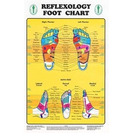Reflexology Foot Chart - Reflexology Zones Marked. 1 Laminated Chart 8" x 11"