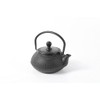 HAWOK Cast Iron Teapot with Stainless Steel Infuser (600ml/20oz)