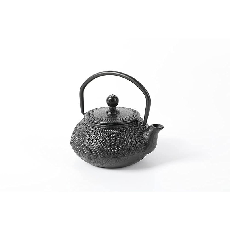 HAWOK Cast Iron Teapot with Stainless Steel Infuser (600ml/20oz)