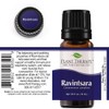 Plant Therapy Ravintsara Essential Oil 10 mL (1/3 oz) 100%