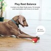 Cheerble [Enhanced Rubber Version] Smart Interactive Dog Toy, Wicked Ball