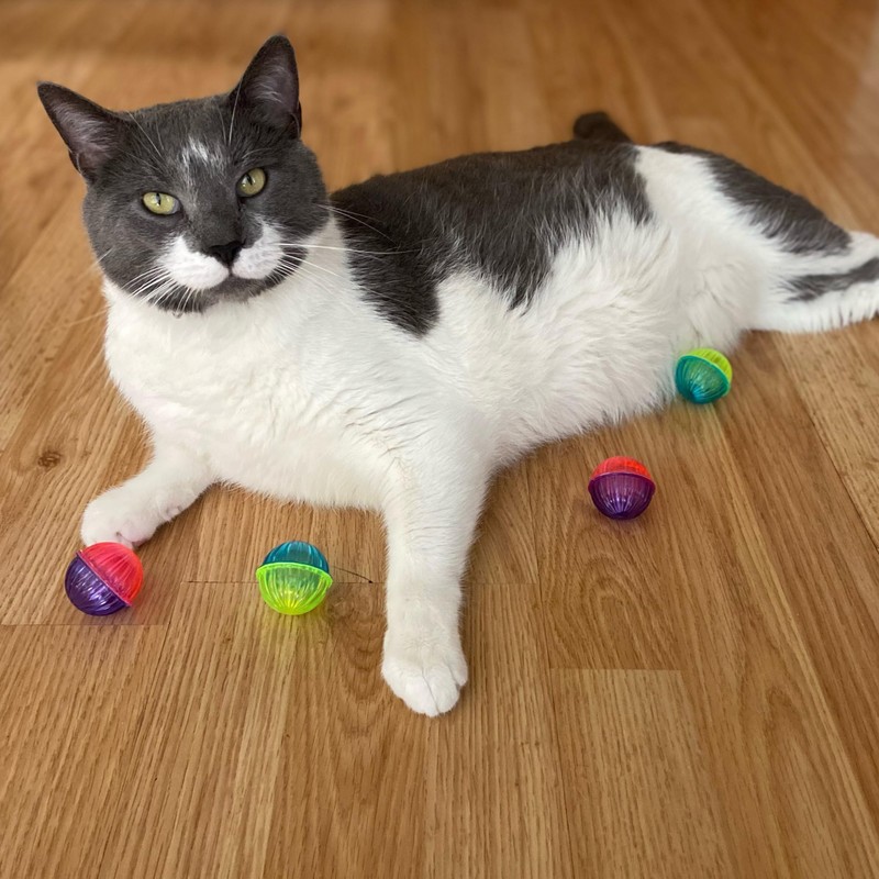 SPOT Shimmer Balls Cat Toys - Fun Balls with Rattle