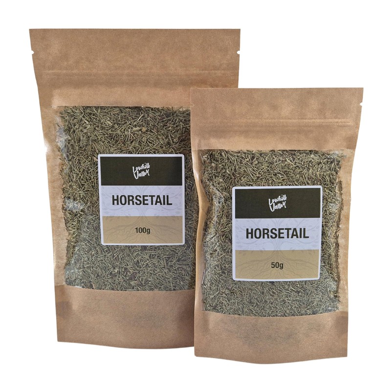 Lowhill Valley Horsetail - Cut and Dried Equisetum Arvense -