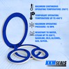 KKMSEALS Plumbing Sealing Rings Set - Tap Seal 1/4 Inch