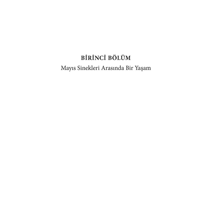 Zamanı Durdurmanın Yolları