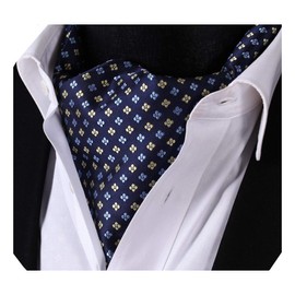 HISDERN Men's RC-01 Silk Ascot Tie, Neckerchief Scarf, Fashion Paisley Pattern, Popular 24 Patterns, Business Formal, Free size