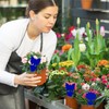 Fruit Fly Traps, 60 Pack Blue Sticky Traps, Fungus Gnat