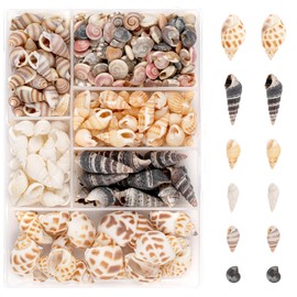 Ailvor Pack of 100 Shells, Shells for Crafts, Natural Shells Decoration with Storage Box, Shells Mixed Undrilled for Bracelet Jewellery, Vase Fillers, Fish Tanks, DIY Crafts