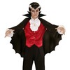 Vampire Cape withStand Up Collar Black Accessory for Superhero Super