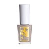 Four Seasons Color Nail Fumiichiyo
