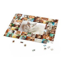 Cats - Collage - Center is White cat - Jigsaw Puzzle for Kids, Adults, Family and Friends (500 pcs)