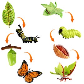 HENGBIRD 8 Pieces Butterfly Life Cycle Toy Figures and Moth Figure from Caterpillar to Butterfly Growth Cycle Kit Montessori Toy Learning Tools School Project for Children 3-8 Years Old