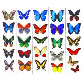 Colorful Temporary Butterfly Tattoos - 5 Sheets - by Butterfly Utopia