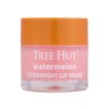 Tree Hut Overnight Lip Mask Watermelon, 1 piece / 트리헛