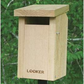 Songbird Essentials SE544 BlueBirdhouse Slot (Set of 1)