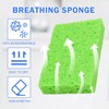 YoleShy 48 Pack Sponges Kitchen Natural Compressed Cellulose Sponges Durable