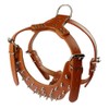 Pimaodog Leather Spiked Studded Harnesses, Collars & Leashes 3Pcs Matching