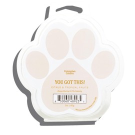 Companion Candles Wax Melt - "You Got This!" Citrus & Tropical Fruits, Pet-Friendly & Non-Toxic, Luxury-Level Scents, Benefits Animals in Need, Hand-Poured in The USA (3oz)