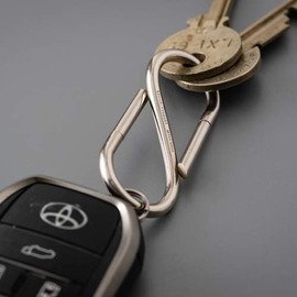 CANDY DESIGN & WORKS Bill CHW-06 (Nickel)