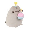 Aurora, 61528, Birthday Party Pusheen, Soft Toy, Multi-Coloured
