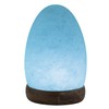 Rock Salt LAMP -USB - Mini Oval/Egg Shape