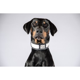 Bestia® Reptile Reptiles Real Leather Dog Collar. 6.3 cm Wide Soft Lining Leather Print Pattern. Very sturdy construction. M to XXL Made Europe.