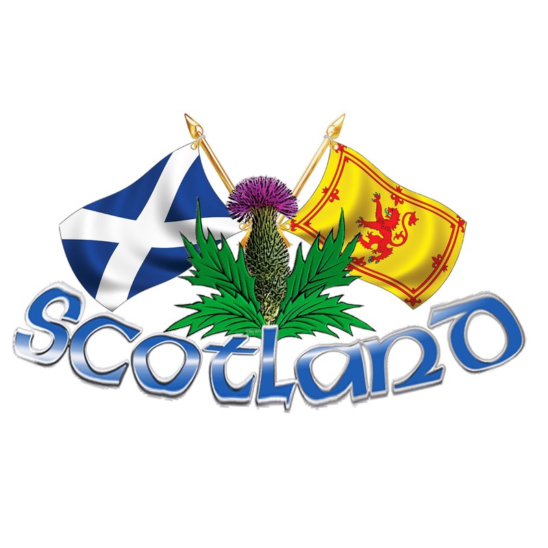 Medium Size Scotland Thistle & Cross Flags