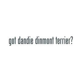 Got Dandie Dinmont Terrier ? Sticker - Decal - Die Cut - Gray 8.50" x 1.26"