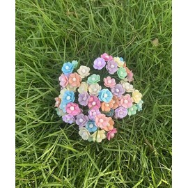 100 pcs Mini Flowers Mulberry Paper Flowers 13-15 mm Scrapbook Craft Card DIY Craft Using for Crafts, Bouquets, Scrapbooks, Decorations, Greeting Cards Artificial Flowers (Mixed Pastel Tone)