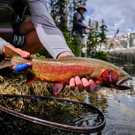 Terrestrial Fly Pattern - Fat Albert Foam Fly- Hand Tied Flies for Fly Fishing - 3 Pack of Flies - Hook Size 10 - Super Durable and Premium Dry Fly Patterns - Foam Dry Flies 3 Pack