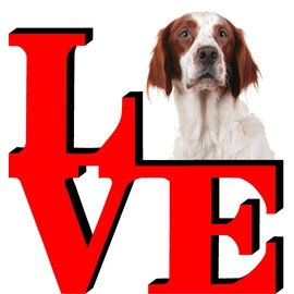 Irish Setter Dog Love Park Cute Dog Fridge Refrigerator Car Magnet