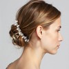 HAIMEIKANG 2 PCs Rhinestone Hair Clips for Women - Metal