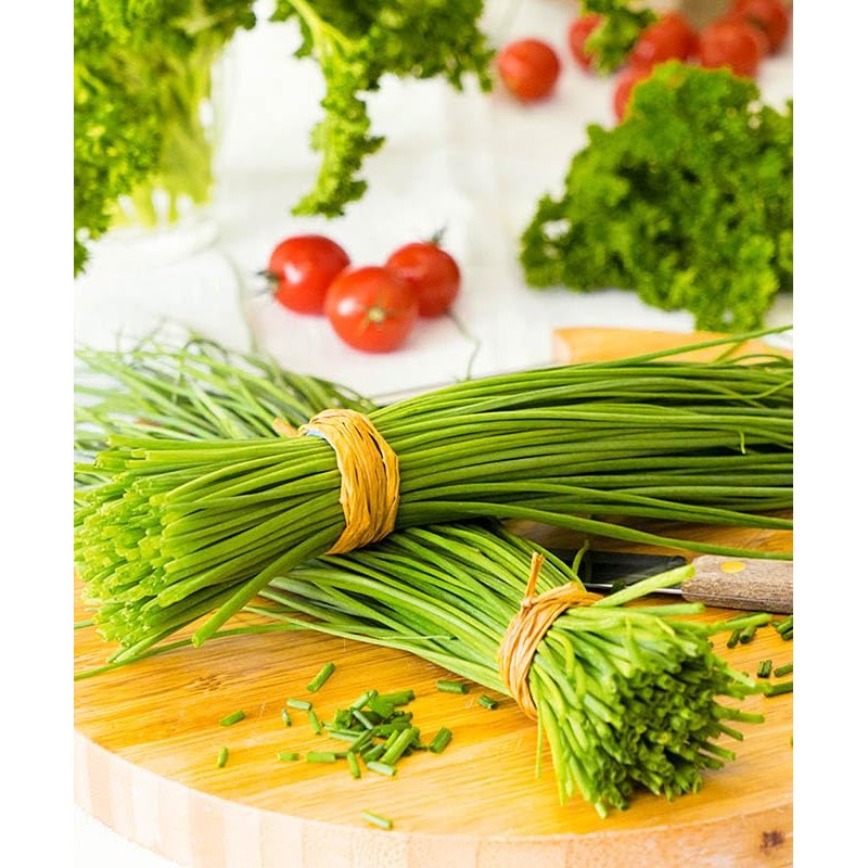 22Day Seeds: Seeds Chives Onion/Non GMO/Heirloom