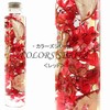 Hortus siccus Red Colors Series 紫陽花 Apples Gypsophila Herbarium