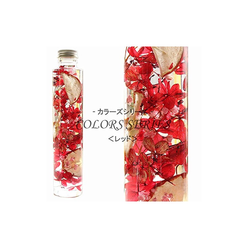 Hortus siccus Red Colors Series 紫陽花 Apples Gypsophila Herbarium