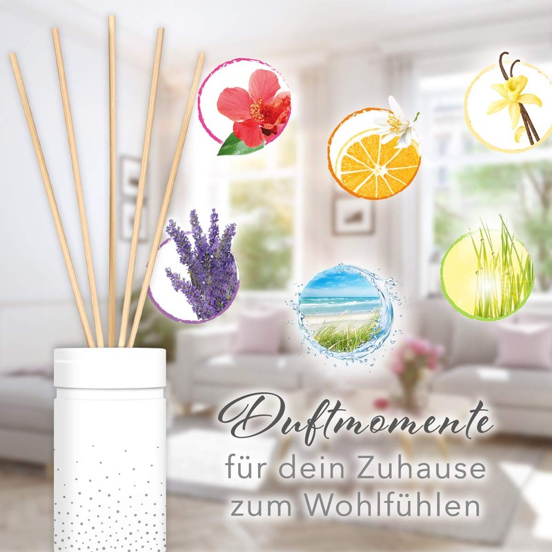 Frosch Oase Raumerfrischer Zitronengrasfrische Nachfüllpack, 2er Pack (2 x 90