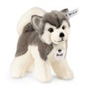Steiff Bernie Husky Plush, Grey/White