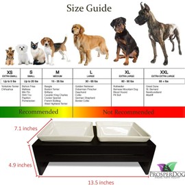 ProsperDog Elevated Dog Dish Pet Food Bowls With Stand, Raised Ceramic Cat Dishes Holder Set, Pet Feeding Station