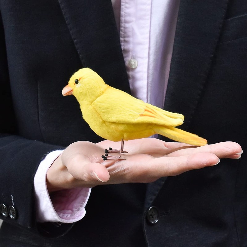 bh7643 hansa canary 9