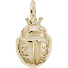 Rembrandt Ladybug Charm - Metal - Gold Plated Sterling Silver