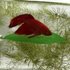 Magnetic Betta Leaf Hammock Bed for Aquariums and Fish Tanks