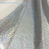 Shattered Glass Hologram Fabric by The Yard Width 58Inches Entelare