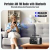 LEOTEC AM FM Radio, Portable Bluetooth Radio, Plug in Wall