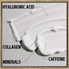Men's Master Rejuvenating Face Cream for Men | Moisturizing and