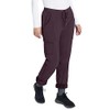 Eddie Bauer Women's Polar Fleece-Lined Pull-On Pants, Deep Eggplant, 6